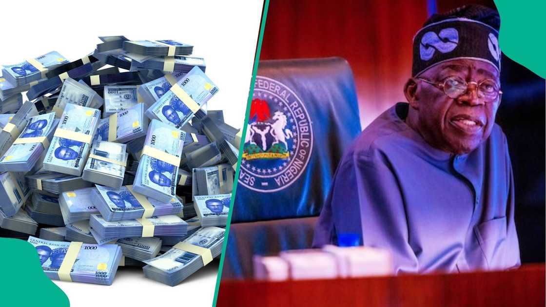 FEC Approves $100m AfDB Loan for Nigeria Youth Investment Fund. The Federal Executive Council (FEC) has approved a $100 million loan from the African Development Bank (AfDB) to support the Nigeria Youth Investment Fund.