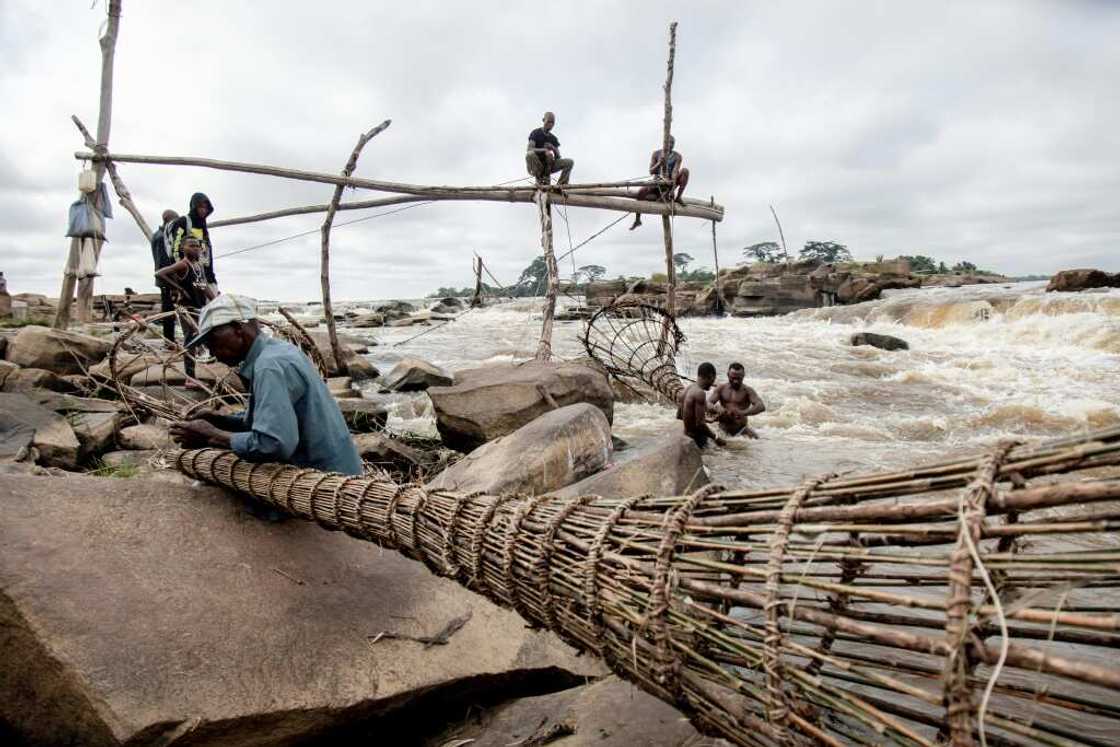 Fishermen perch on wooden scaffolds at the Wagenya Falls in ortheastern DR Congo