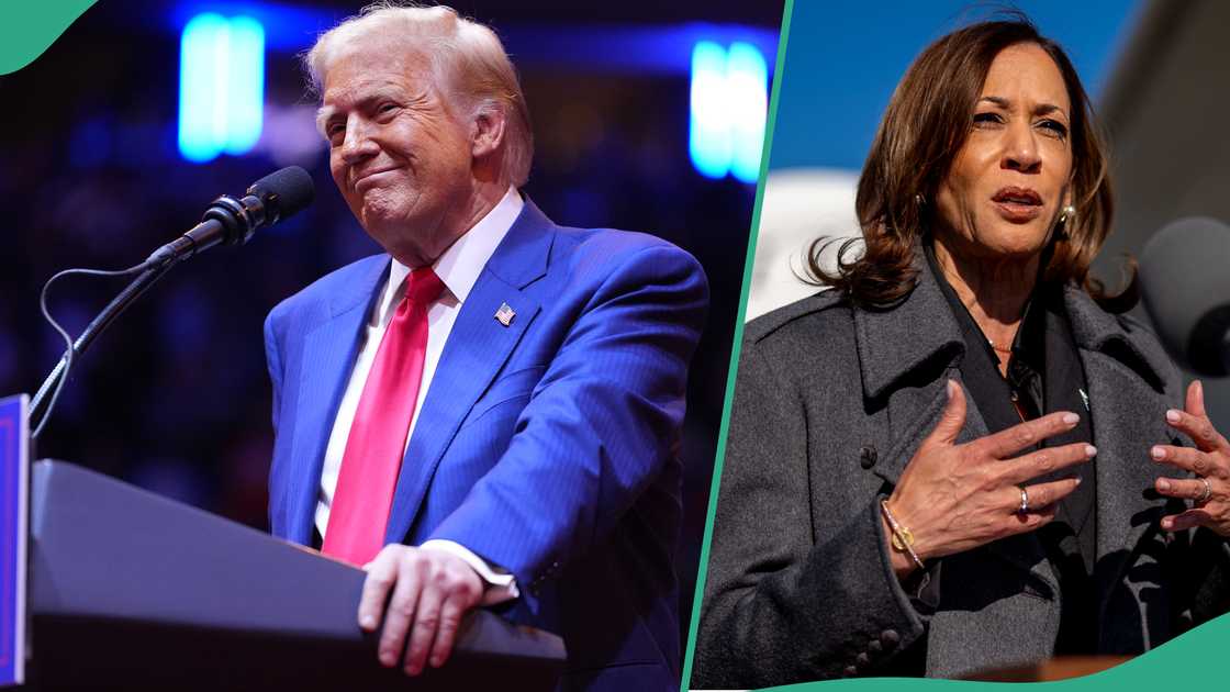 Nigerian lawyer, Titilope Anifowoshe, has lamented the exploitation of trivial issues in the campaigns of former President Donald Trump and Vice President Kamala Harris in the US presidential election. Nigerian lawyer, Titilope Anifowoshe, has lamented the exploitation of trivial issues in the campaigns of former President Donald Trump and Vice President Kamala Harris in the US presidential election.
