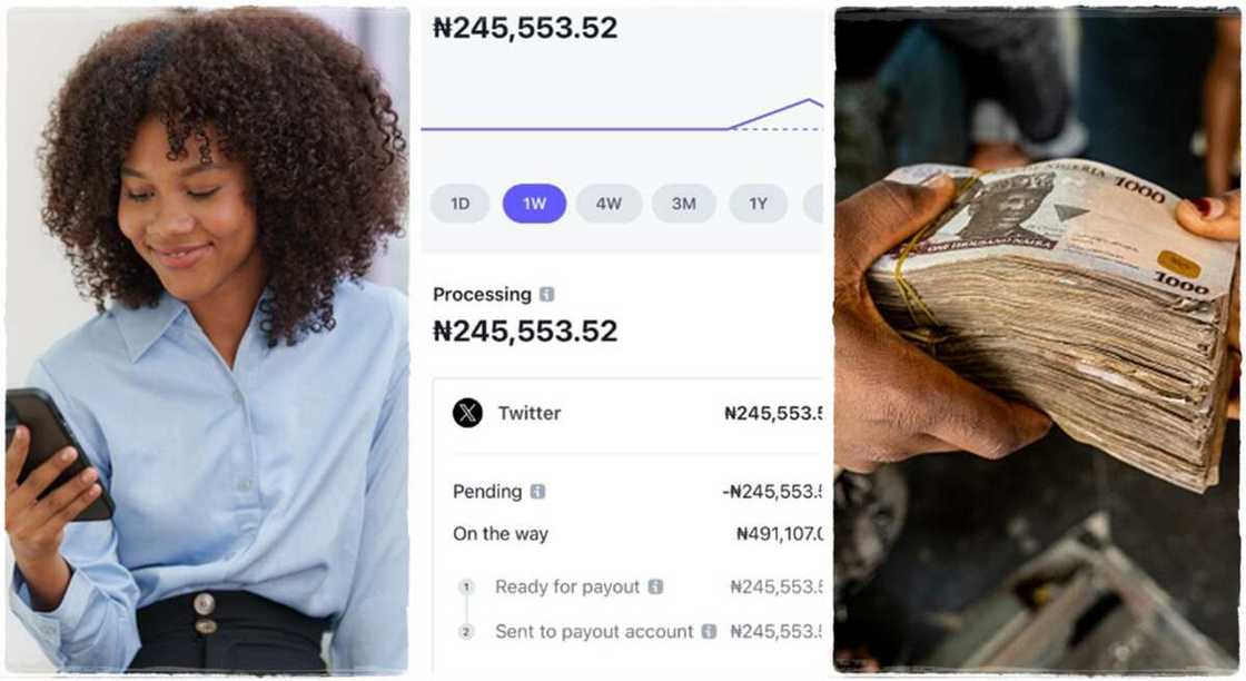 Nigerian lady made N245k from Twitter now known as X. Nigerian lady made N245k from Twitter now known as X.