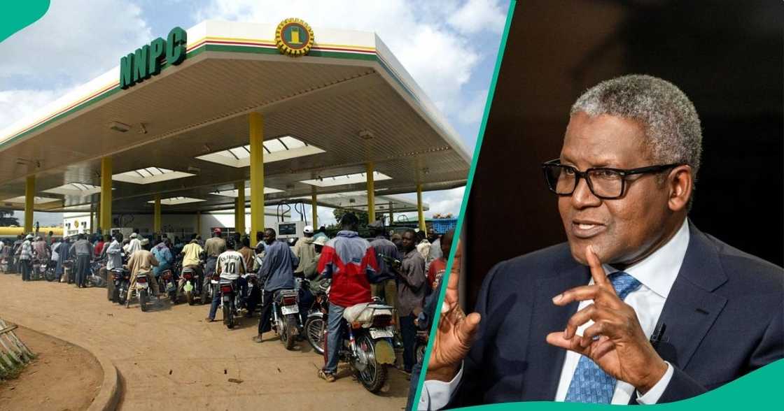Oil marketers take action to stop Dangote from allegedly monopolising the oil sector Oil marketers take action to stop Dangote from allegedly monopolising the oil sector