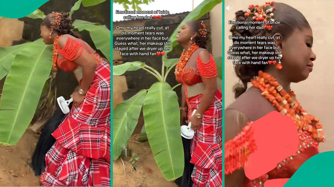 Grieving Nigerian bride visits late father's graveside during wedding celebration. Grieving Nigerian bride visits late father's graveside during wedding celebration.