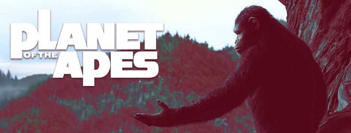 best post apocalyptic movies of all time best post apocalyptic movies of all time