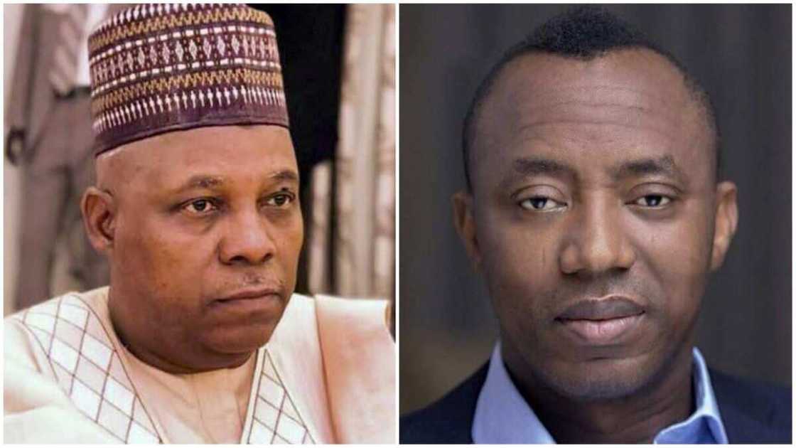 Omoyele Sowore, Kashim Shettima, APC, African Action Congress, ICC, Peace Accord, Abuja