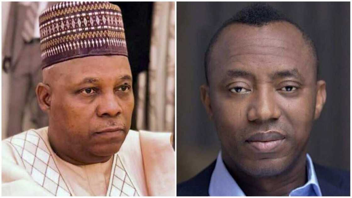 Omoyele Sowore, Kashim Shettima, APC, African Action Congress, ICC, Peace Accord, Abuja Omoyele Sowore, Kashim Shettima, APC, African Action Congress, ICC, Peace Accord, Abuja