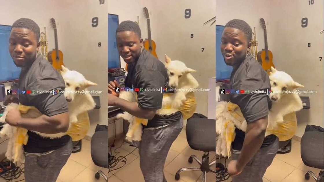 Photo of man having a good time with dog Photo of man having a good time with dog