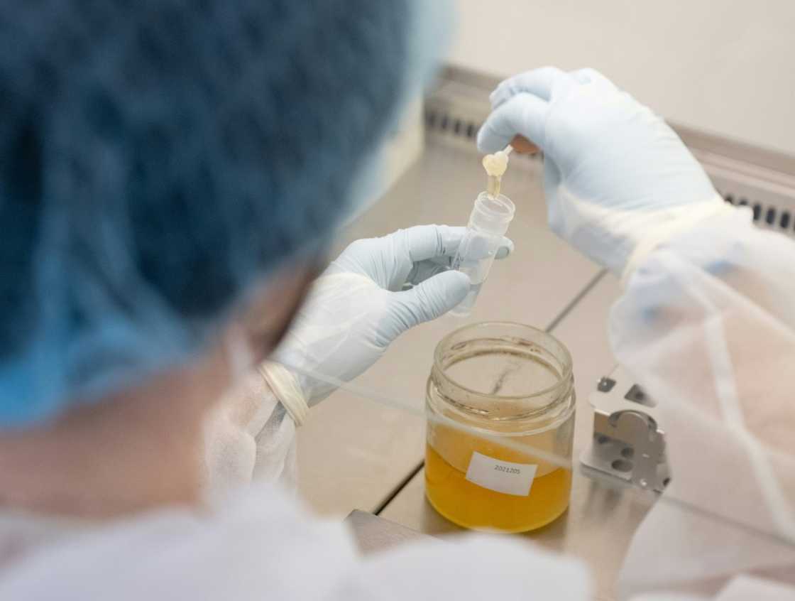 Only a few European laboratories run DNA analysis to test honey Only a few European laboratories run DNA analysis to test honey