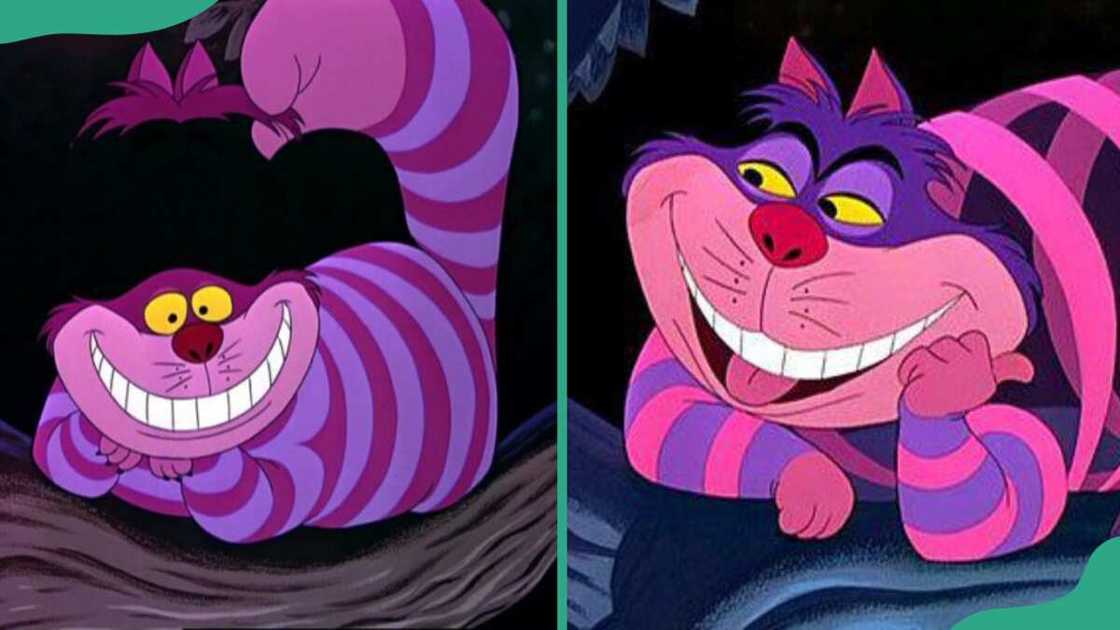 Cheshire Cat from Alice's Adventures in Wonderland Cheshire Cat from Alice's Adventures in Wonderland