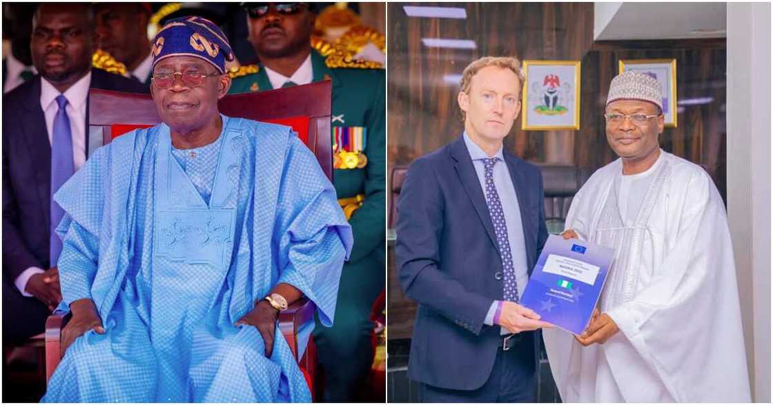 Bola Tinubu, 2023 election, INEC, European Union