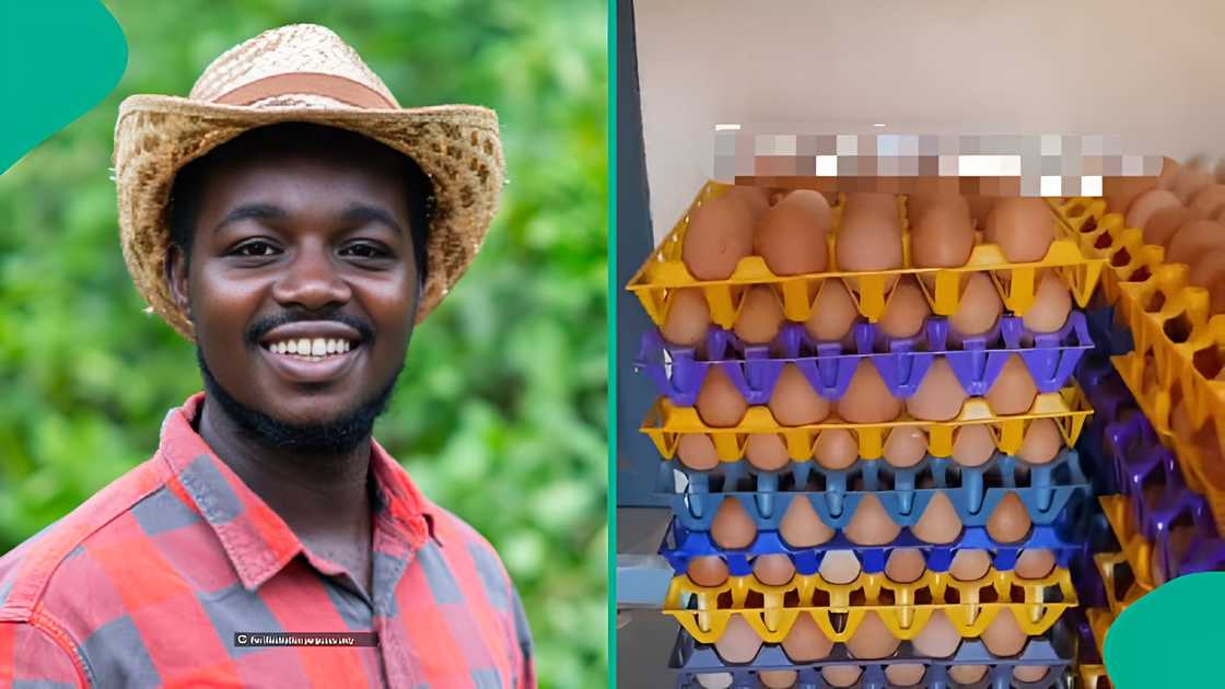 Nigerian workers agree to stay after boss offers extra pay Nigerian workers agree to stay after boss offers extra pay