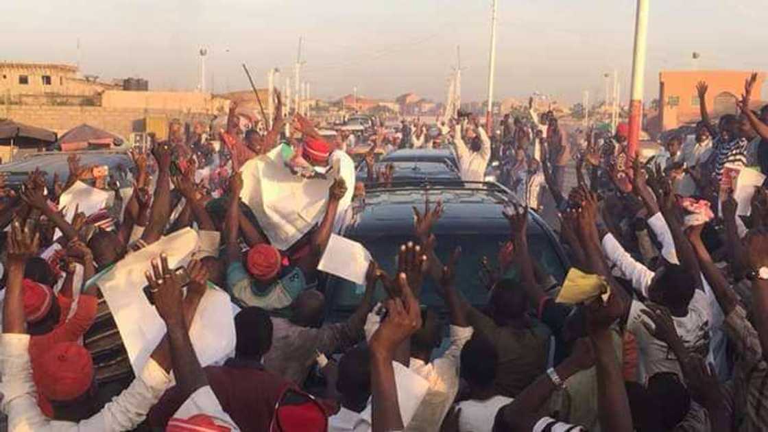 Kwankwasiyya Amana: Ku kalli hotunan yadda Kanawa suka tarbi Sanata Rabi'u Kwankwaso Kwankwasiyya Amana: Ku kalli hotunan yadda Kanawa suka tarbi Sanata Rabi'u Kwankwaso