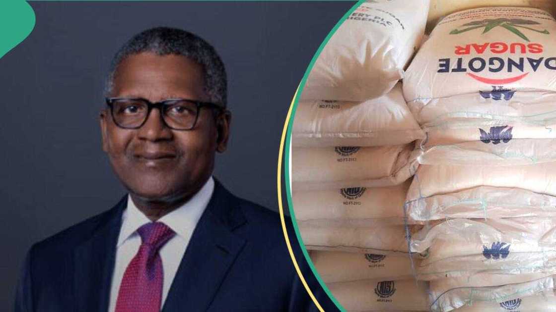 Dangote invests n sugar production Dangote invests n sugar production