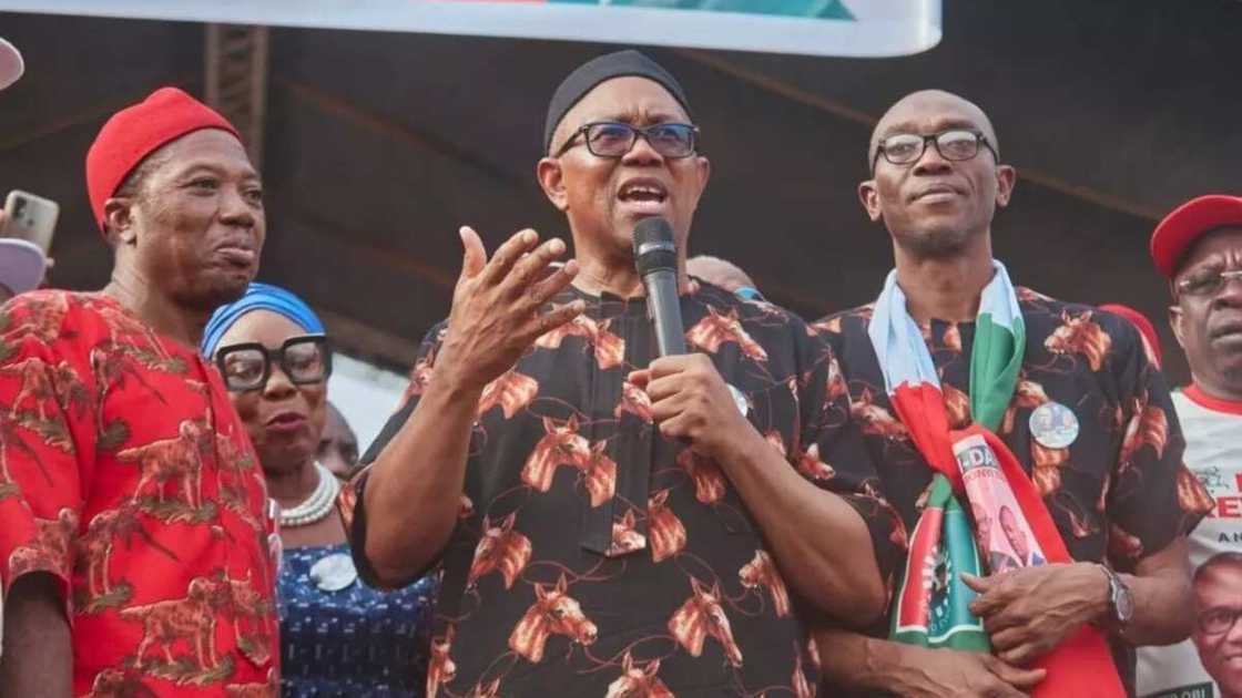 Ohanaeze Ndigbo/Peter Obi/2023 Presidential Election