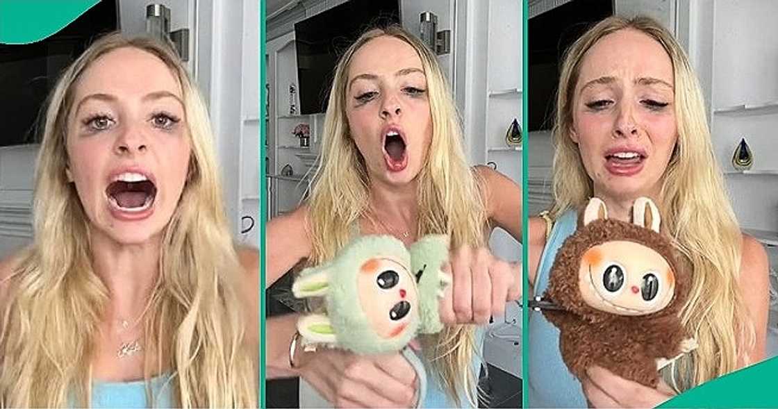 White lady destroys her 2 labubu dolls worth $600 with scissors because they're not pink. White lady destroys her 2 labubu dolls worth $600 with scissors because they're not pink.