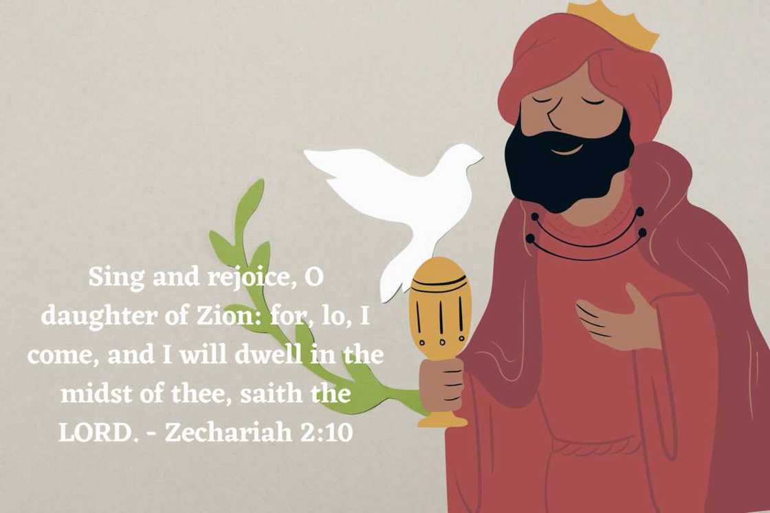 meaning of zion name meaning of zion name