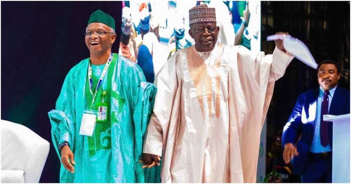 Bola Tinubu, Mallam Nasir El-Rufai, senate Bola Tinubu, Mallam Nasir El-Rufai, senate