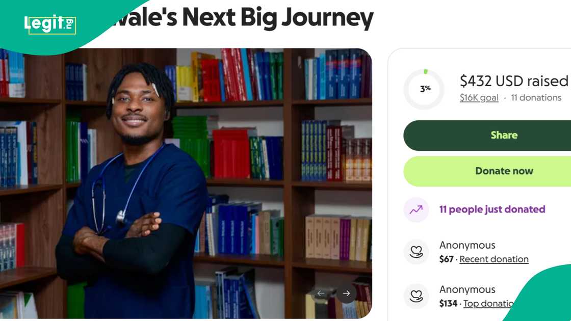 BBNaija Faith's GoFundMe account