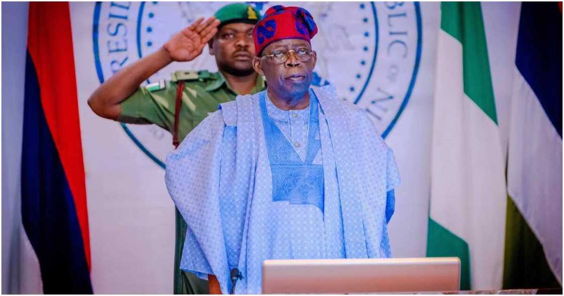 Bola Tinubu, APC, Petroleum ministry, senate Bola Tinubu, APC, Petroleum ministry, senate