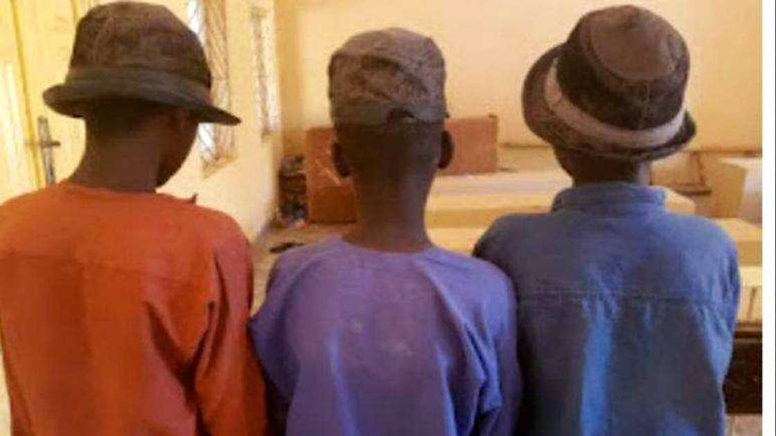 Fulani Makiyaya. Fulani Makiyaya.