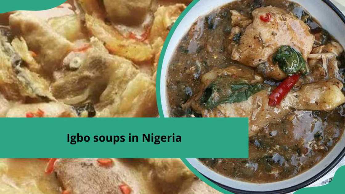 Igbo soups in Nigeria Igbo soups in Nigeria
