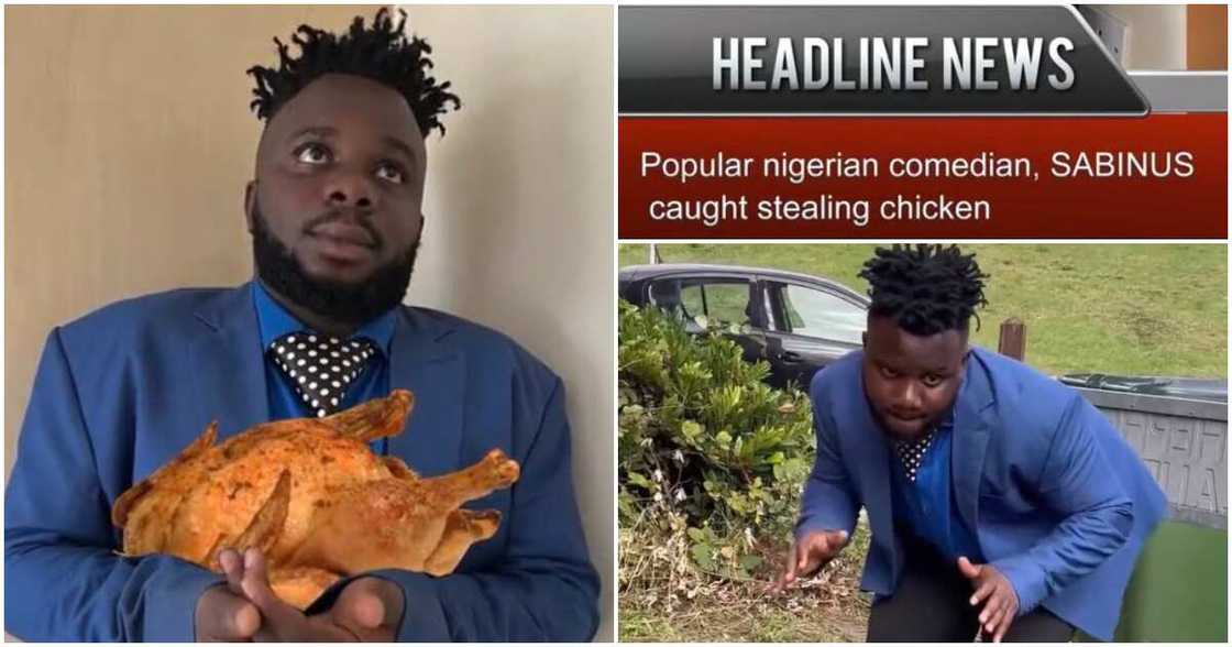 Oga Sabinus, fowl, UK, London Oga Sabinus, fowl, UK, London