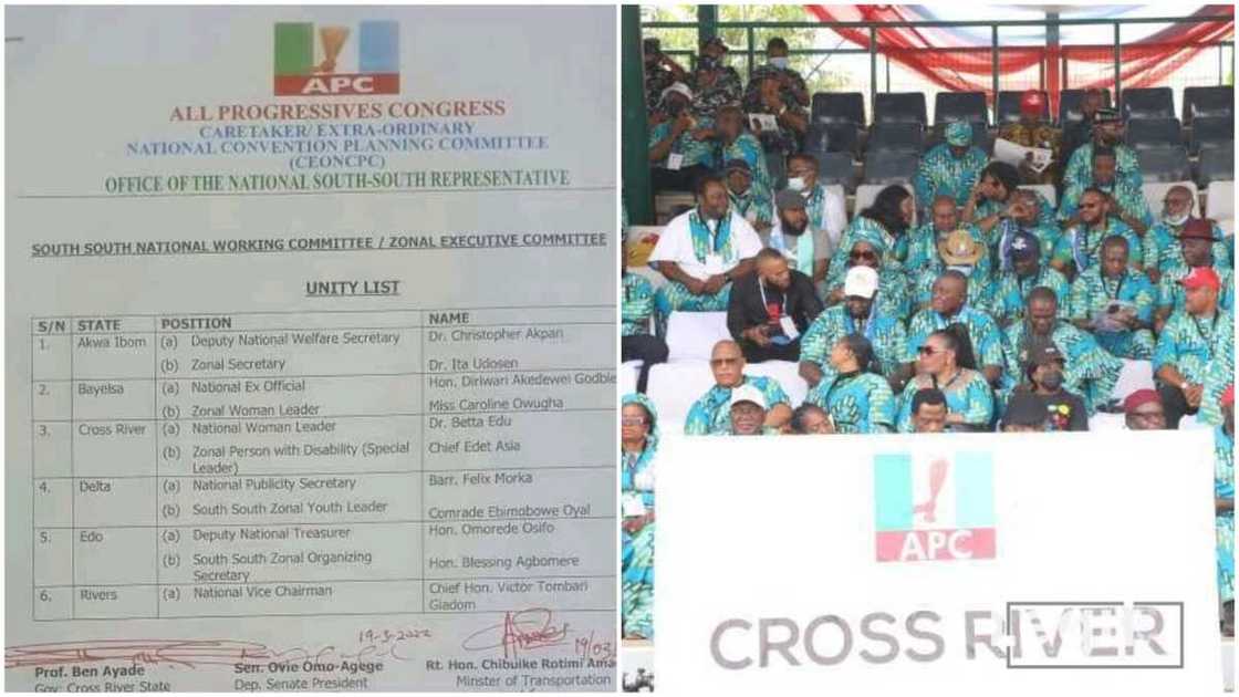 South-South APC leaders, consensus candidates, unity list, national convention South-South APC leaders, consensus candidates, unity list, national convention