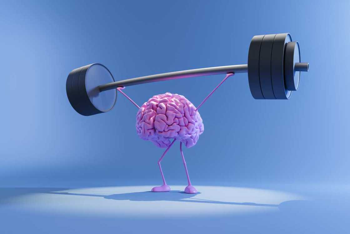 Les contrepèteries difficiles et intelligentes poussent les personnes à faire fonctionner leurs méninges. Les contrepèteries difficiles et intelligentes poussent les personnes à faire fonctionner leurs méninges.