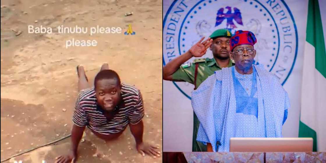 Tinubu, Subsidy Tinubu, Subsidy