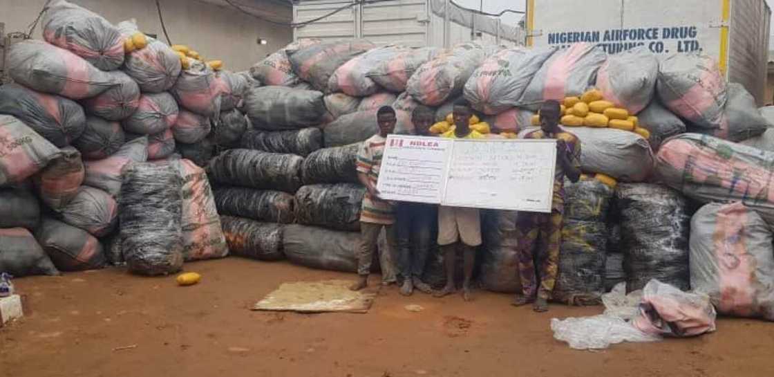 NDLEA Impedes 3million Opioid Caps, 8613kg Cannabis at Lagos Terminal NDLEA Impedes 3million Opioid Caps, 8613kg Cannabis at Lagos Terminal