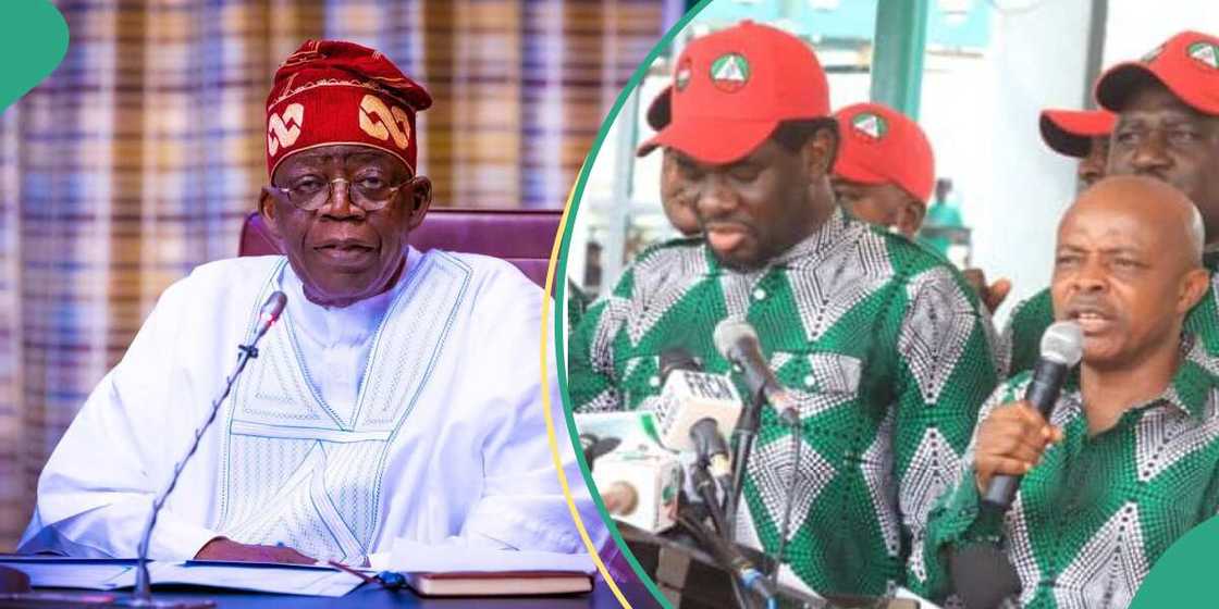 Tinubu-led federal govt strikes deal with labour unions Tinubu-led federal govt strikes deal with labour unions