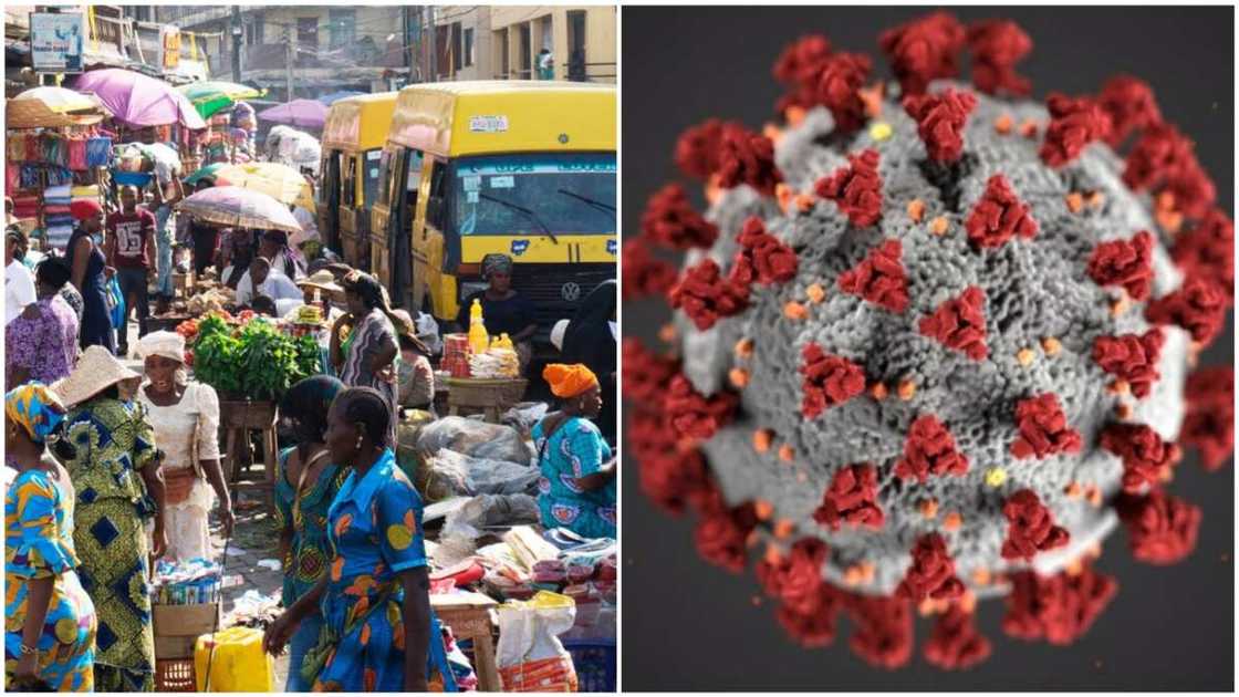 An gano dalilin da yasa kwayar cutar korona ta gaza yin tasiri a tsakanin talakawan Nigeria An gano dalilin da yasa kwayar cutar korona ta gaza yin tasiri a tsakanin talakawan Nigeria