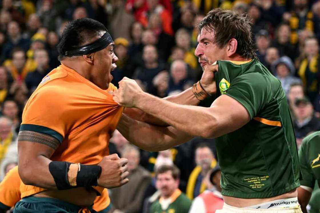 South Africa's Eben Etzebeth (right) squares up with Australia's Allan Alaalatoa during the heated Springboks win in Sydney South Africa's Eben Etzebeth (right) squares up with Australia's Allan Alaalatoa during the heated Springboks win in Sydney