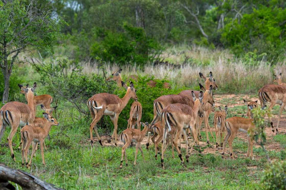 Best African countries to live Best African countries to live