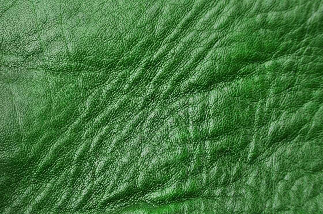 Emerald green leather