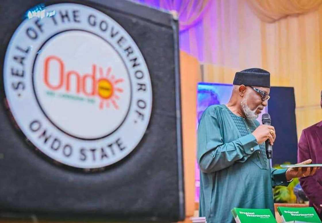Rotimi Akeredolu/Peter Obi/2023 election/Southern Nigeria/Northern Nigeria/APC/PDP Rotimi Akeredolu/Peter Obi/2023 election/Southern Nigeria/Northern Nigeria/APC/PDP