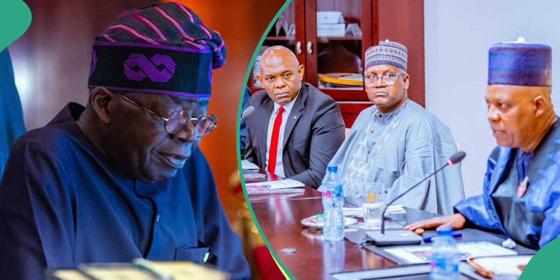 Tinubu sets up presidential economic team. Shettima, Dangote, Elumelu others members