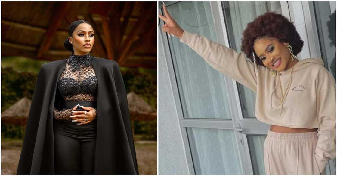 Mercy Eke, Phyna, BBNaija Mercy Eke, Phyna, BBNaija