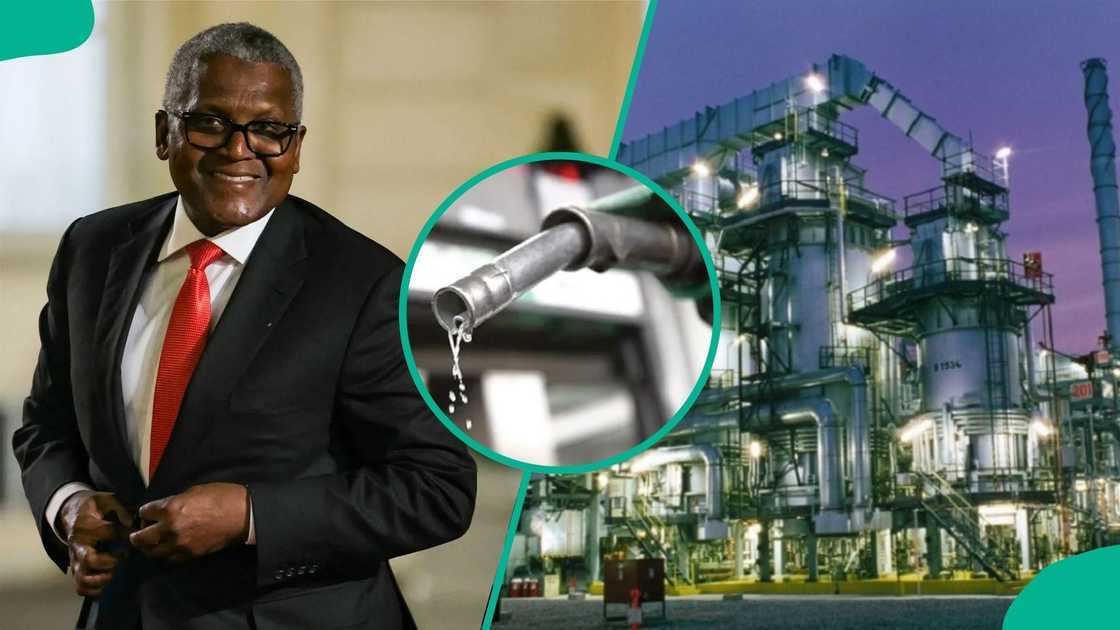 Dangote Calls It ‘IPO for the People’ as Nigerians Get N5,250 Entry Point Dangote Calls It ‘IPO for the People’ as Nigerians Get N5,250 Entry Point