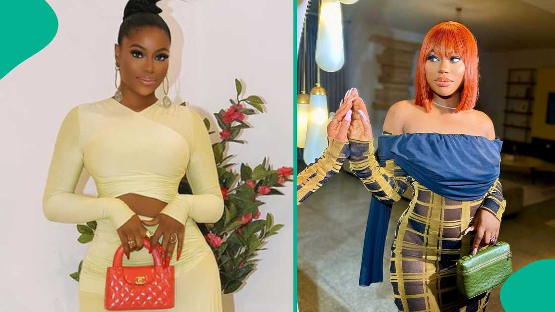 Sophia Momodu caught in exchange with netizen over designer bag. Sophia Momodu caught in exchange with netizen over designer bag.