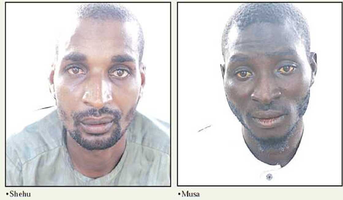 Wadanda Ake Zargi Wadanda Ake Zargi