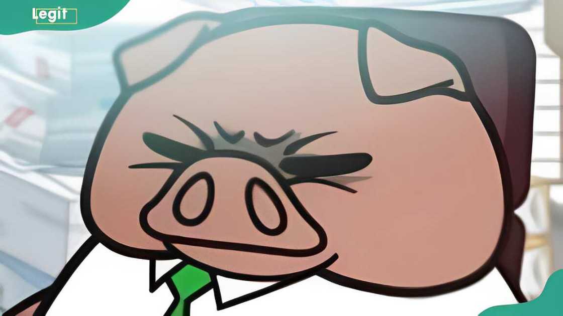 Male Aggretsuko in an office with a frowning face Male Aggretsuko in an office with a frowning face