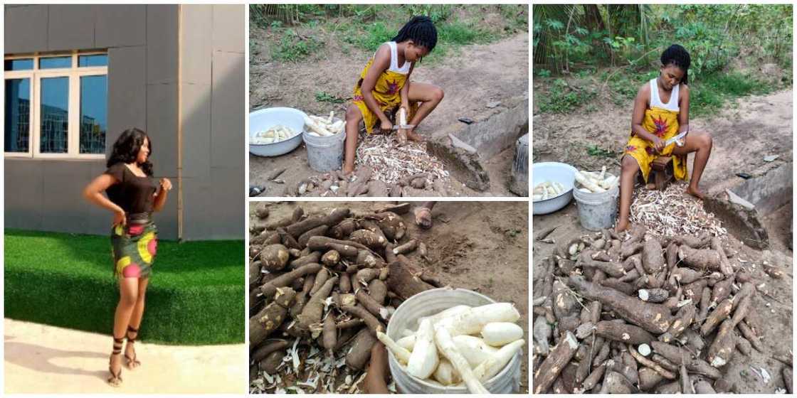 Beautiful Nigerian Lady Shows Off the Big Cassava She Harvested from Her Farm, Photos Spark Reactions Beautiful Nigerian Lady Shows Off the Big Cassava She Harvested from Her Farm, Photos Spark Reactions