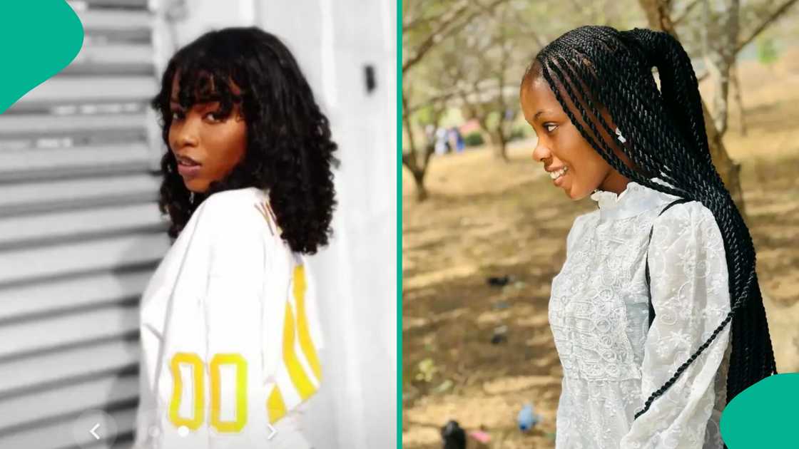 Female student shares a video on TikTok showing the owl that was found inside HOD's office. Female student shares a video on TikTok showing the owl that was found inside HOD's office.