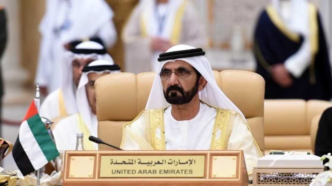 UAE to begin giving citizenship to some investors, professionals UAE to begin giving citizenship to some investors, professionals
