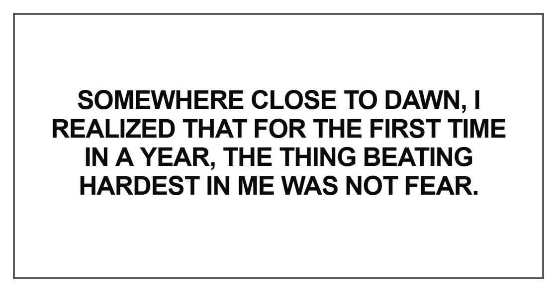 Somewhere close to dawn, I realized that for the first time in a year