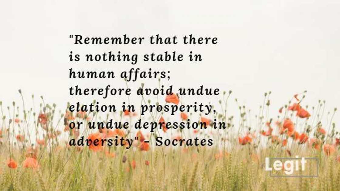 socrates quotes on love socrates quotes on love