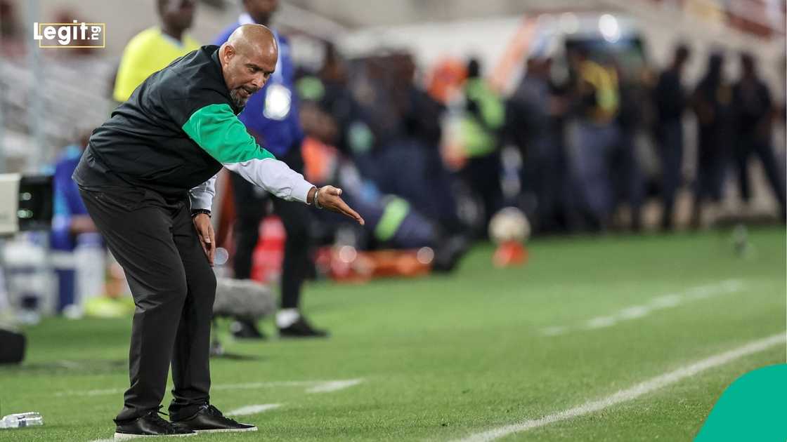 Eric Chelle, Nigeria, Super Eagles, AFCON, Morocco, Football, Africa. Eric Chelle, Nigeria, Super Eagles, AFCON, Morocco, Football, Africa.