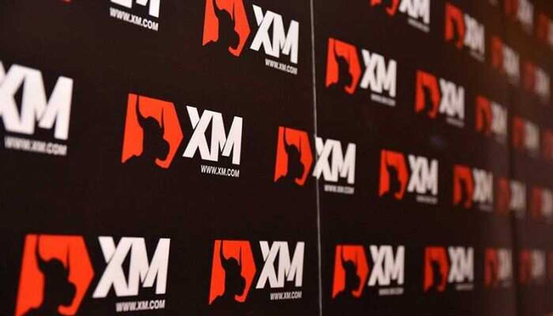 XM Broker: Build your Investments Like Building your House XM Broker: Build your Investments Like Building your House