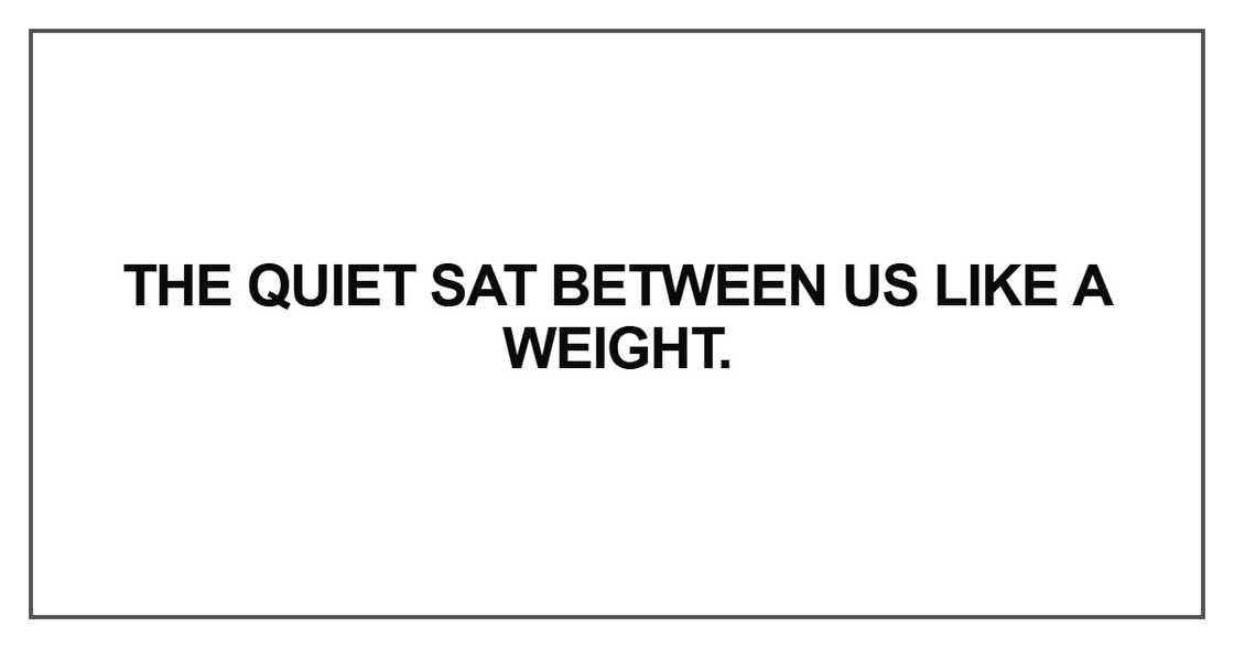 The quiet sat between us like a weight The quiet sat between us like a weight