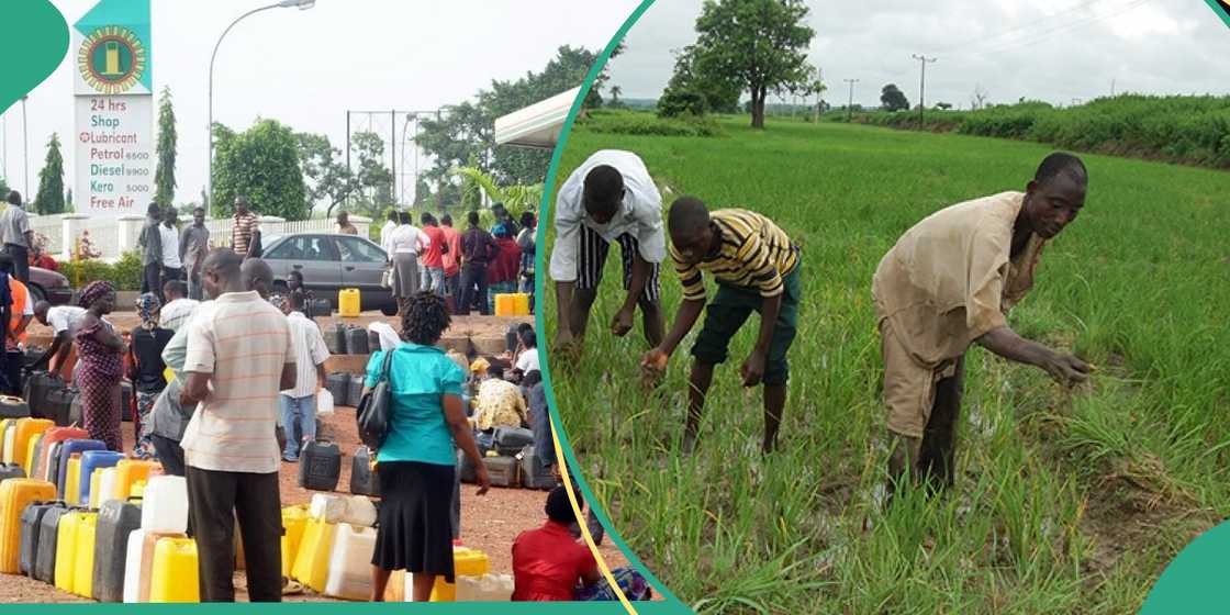 State governor subsidises petrol at N600 per litre State governor subsidises petrol at N600 per litre